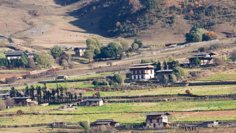 Houses in Phobjikha