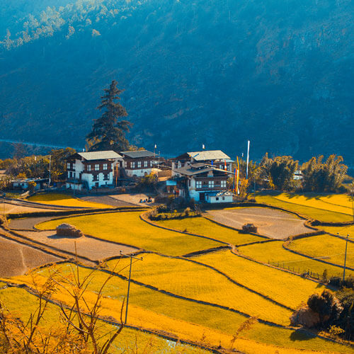 Bhutanese village