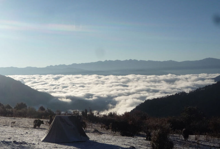 Yak Herders camp on Druk Path Trek